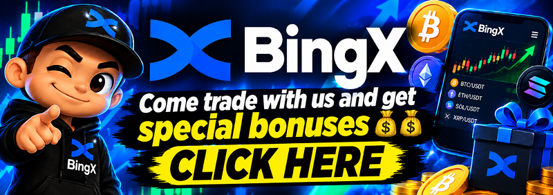 Bingx inglês